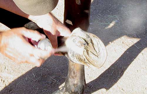Preparing custom shims for Renegade Horse Boot