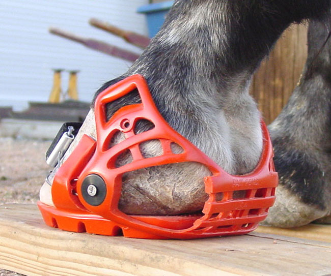 Renegade Horse Boot Captivator Side View