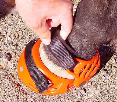 Installing Renegade Hoof Boot Pastern Strap